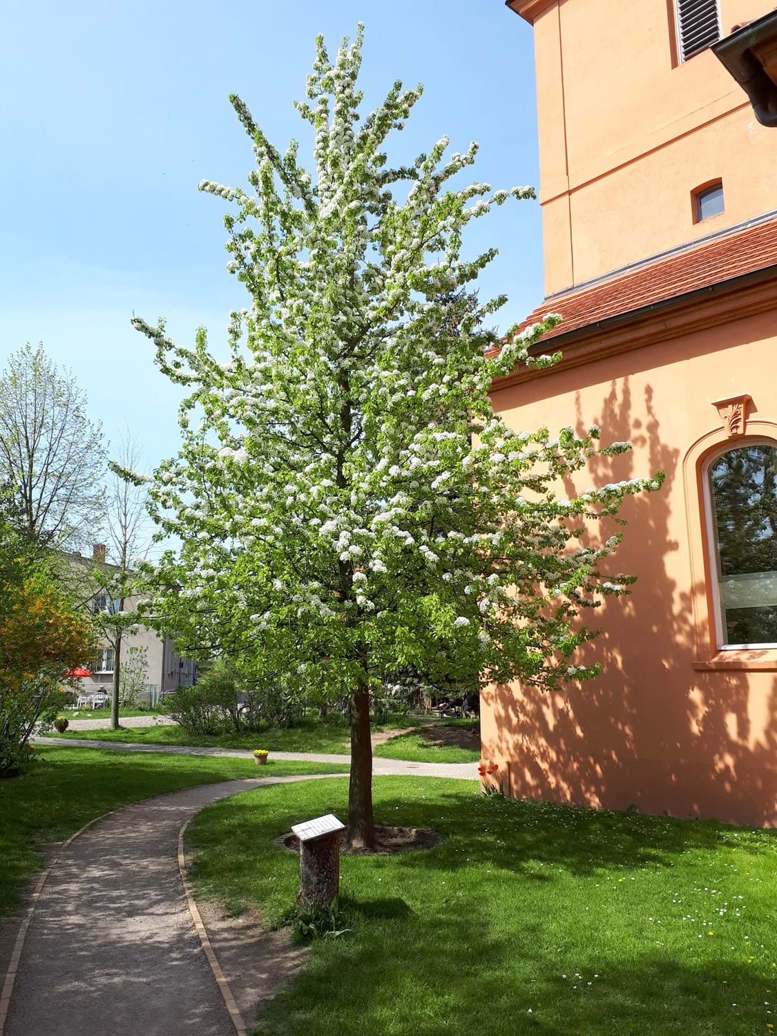 Ribbeck Stadt Nauen