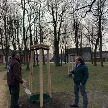 Baumpflanzungen im Stadtgebiet Nauen