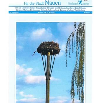 Amtsblatt für die Stadt Nauen - Nr. 3