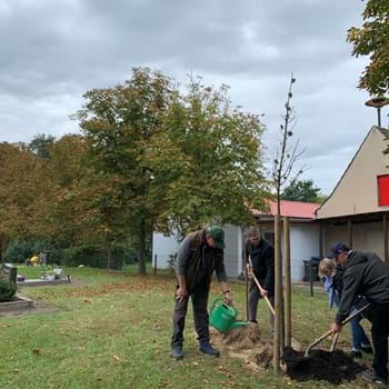 Aktion in Kienberg: Beim „Einheitsbuddeln“ wurden zwei Linden gepflanzt 