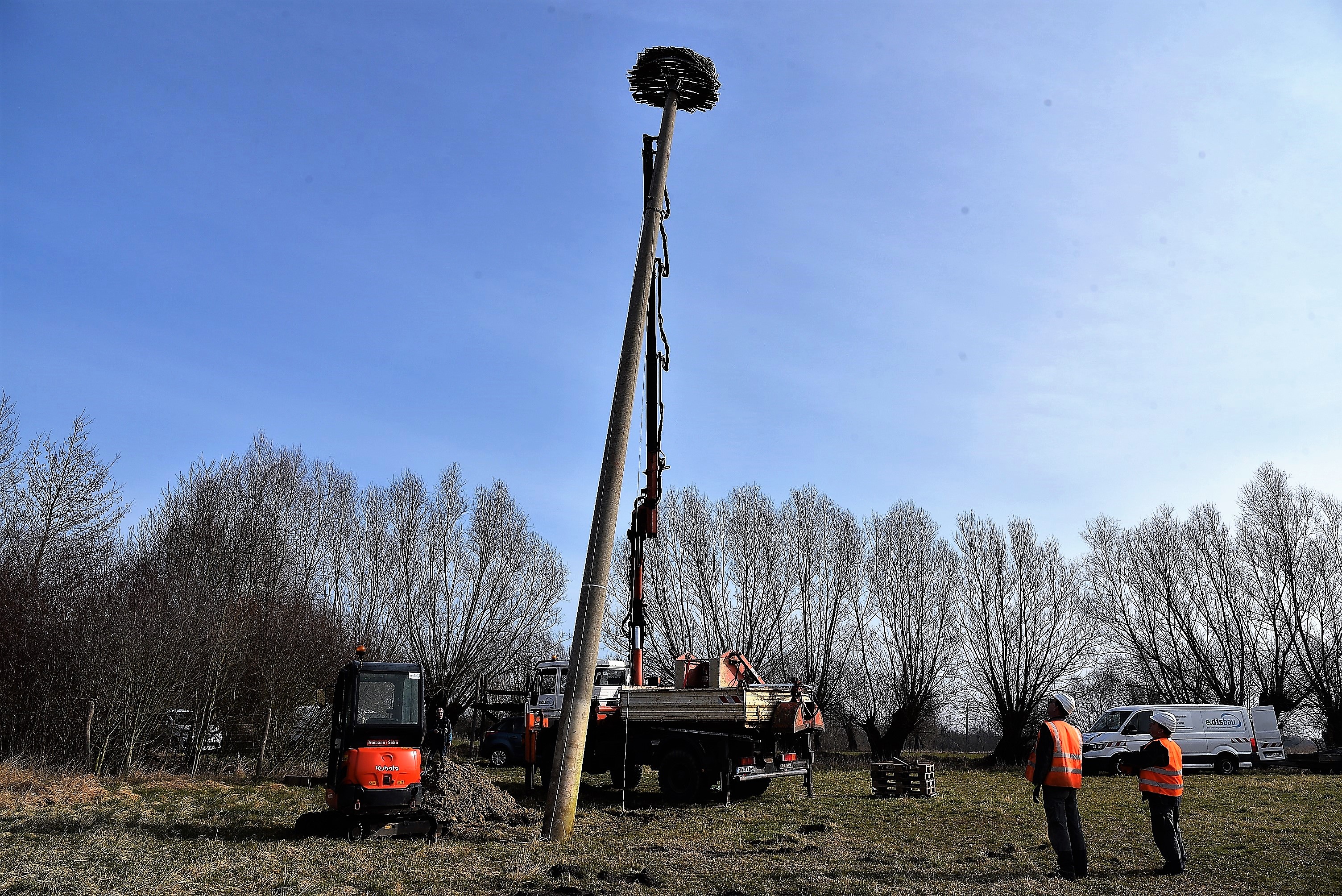Storchenhorst steht: Alles bereit für Meister Adebar