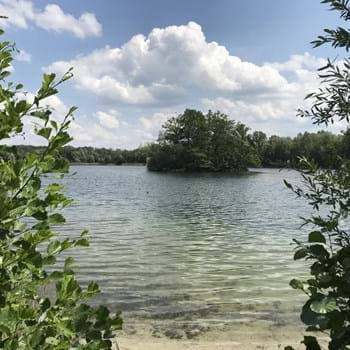 Gemeinde Brieselag veröffentlicht Bürgerinformation zur Badestelle Nymphensee