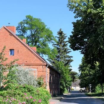 Warnung vor Astabbrüchen! 