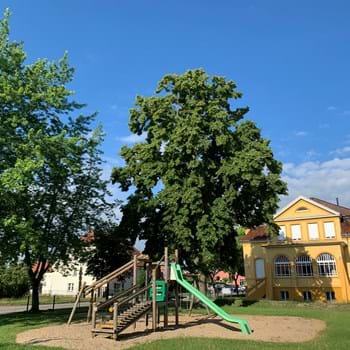 „Essen und Trinken hält Leib und Seele zusammen“ - Kücheneinweihung im Dorfgemeinschaftshaus Wachow