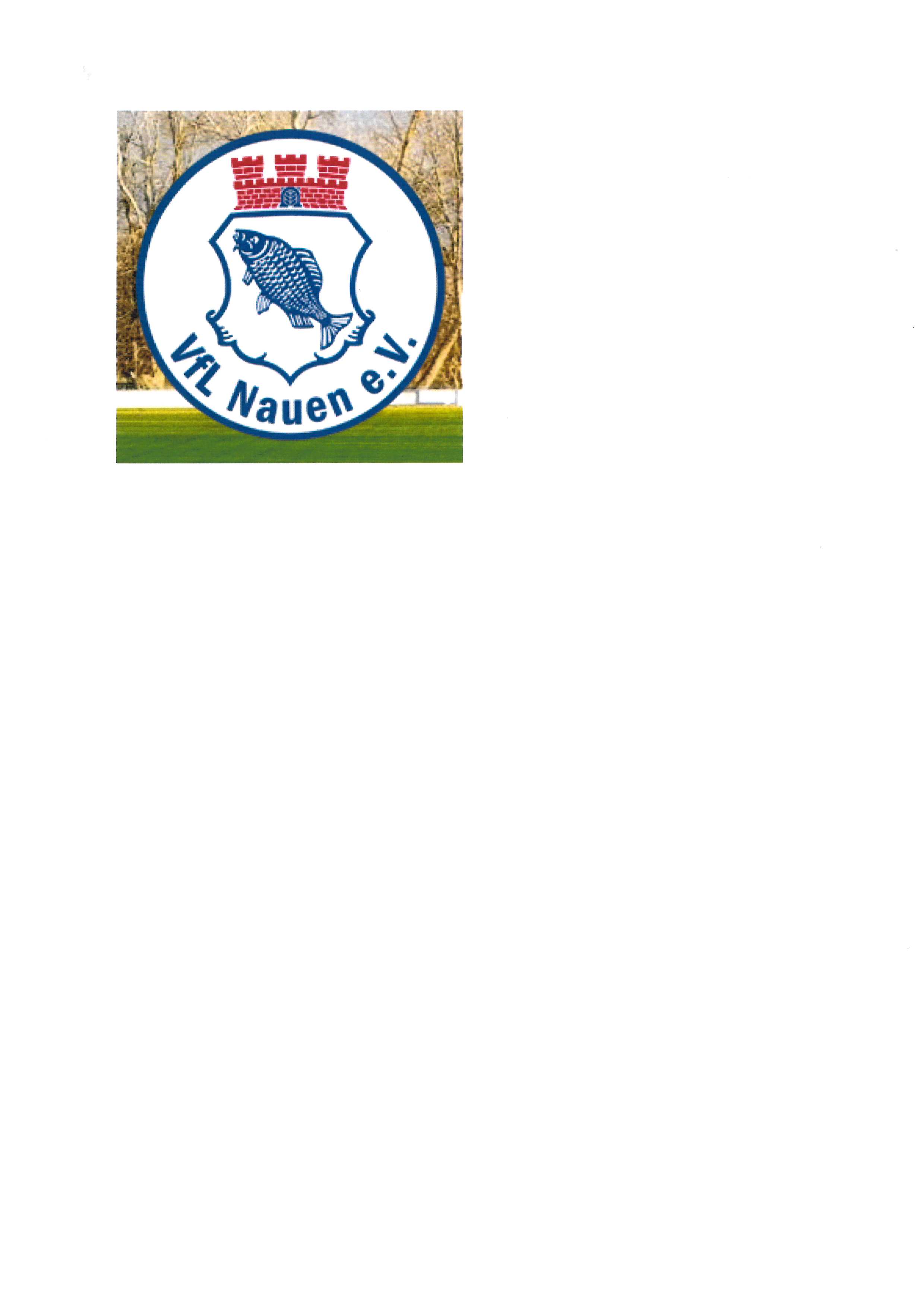 Der  VfL sucht Junioren Trainer