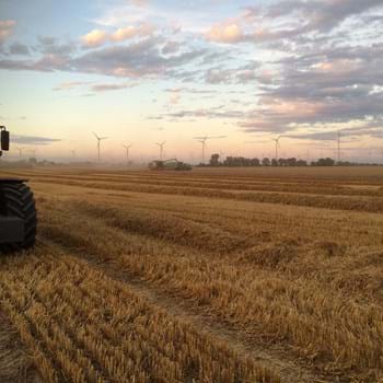 Nauen feiert am 3. September das 13. Havelländer Erntefest