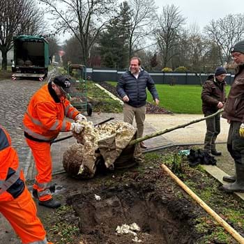 Dünger aus Schafwolle: Schäfer Biermann aus Berge und Bürgermeister Meger zeigen, wie es geht