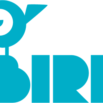 Kitaplatz finden: In Nauen geht das ab sofort online