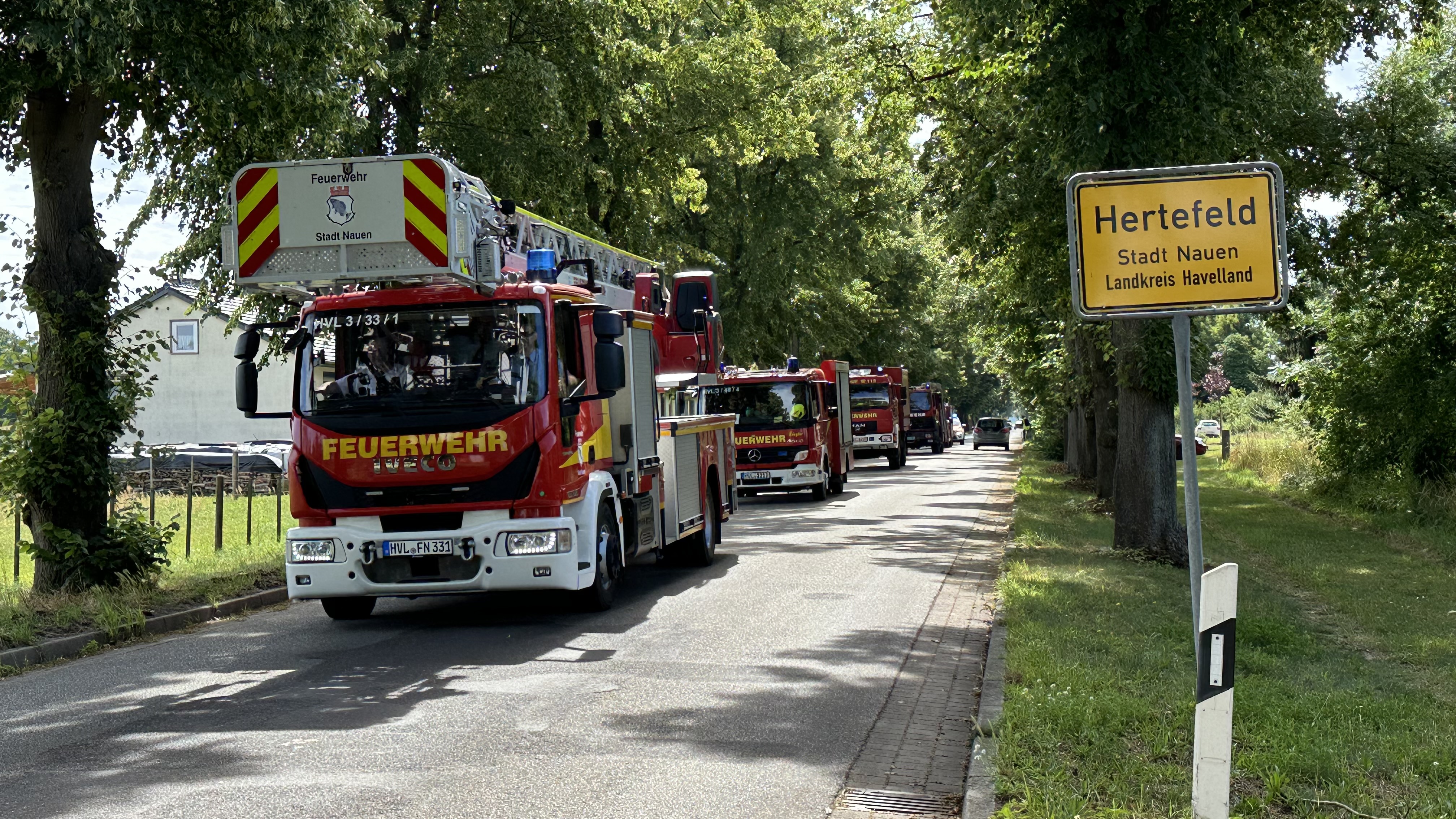 Feuerwehr: Einheit Bergerdamm hatte drei Gründe zum Feiern 