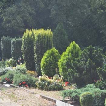 Standfestigkeitskontrolle am 11. April: Information der Friedhofsverwaltung Nauen