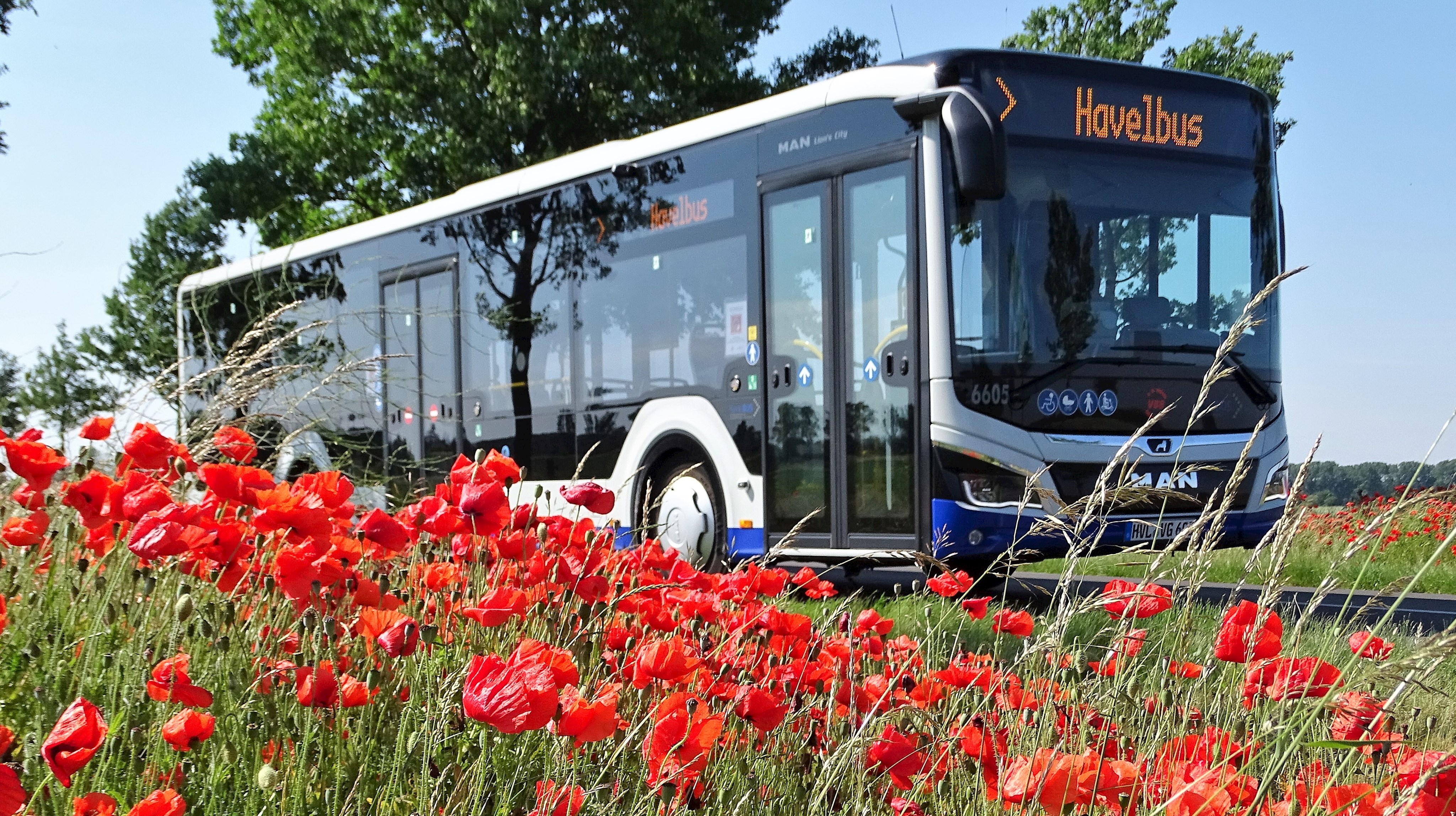 Havelbus: Start der Tourismus-Verbindung am 12. April 2025