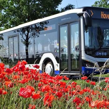 Havelbus: Start der Tourismus-Verbindung am 12. April 2025