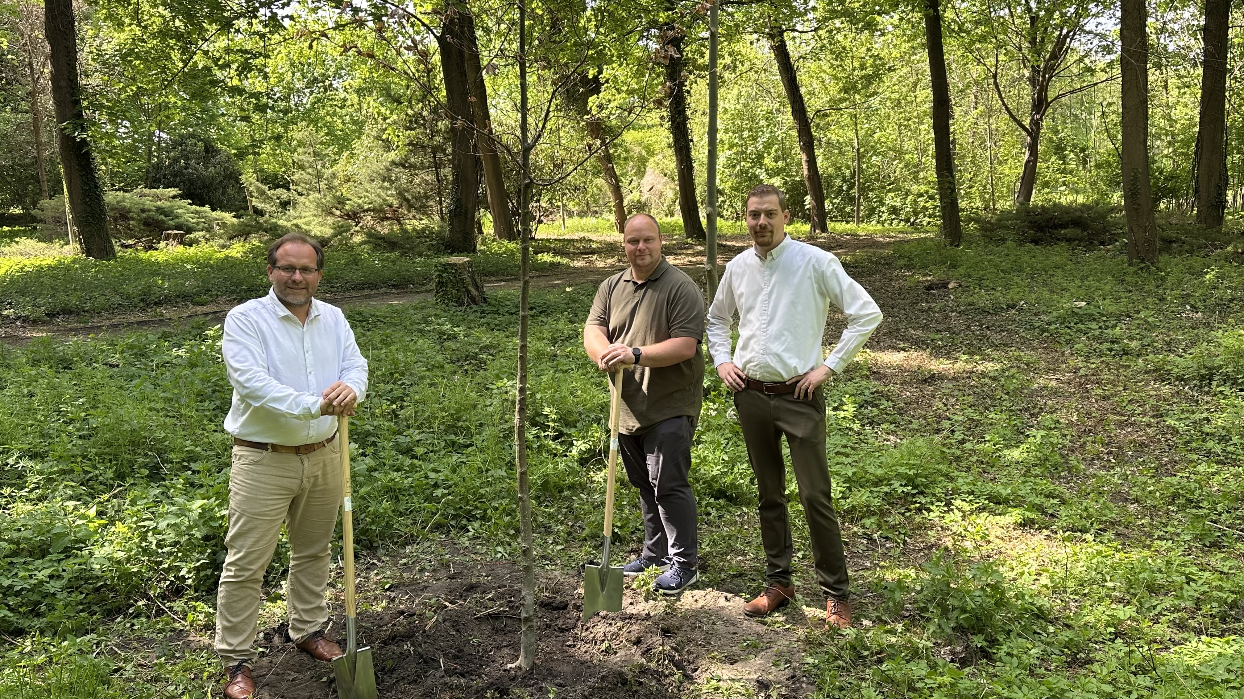 Kleine Baumpflanzaktion im Bürgerpark Nauen - Ein starkes Zeichen für Nachhaltigkeit