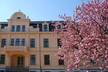 1_außen_mit blühendem Baum.jpg