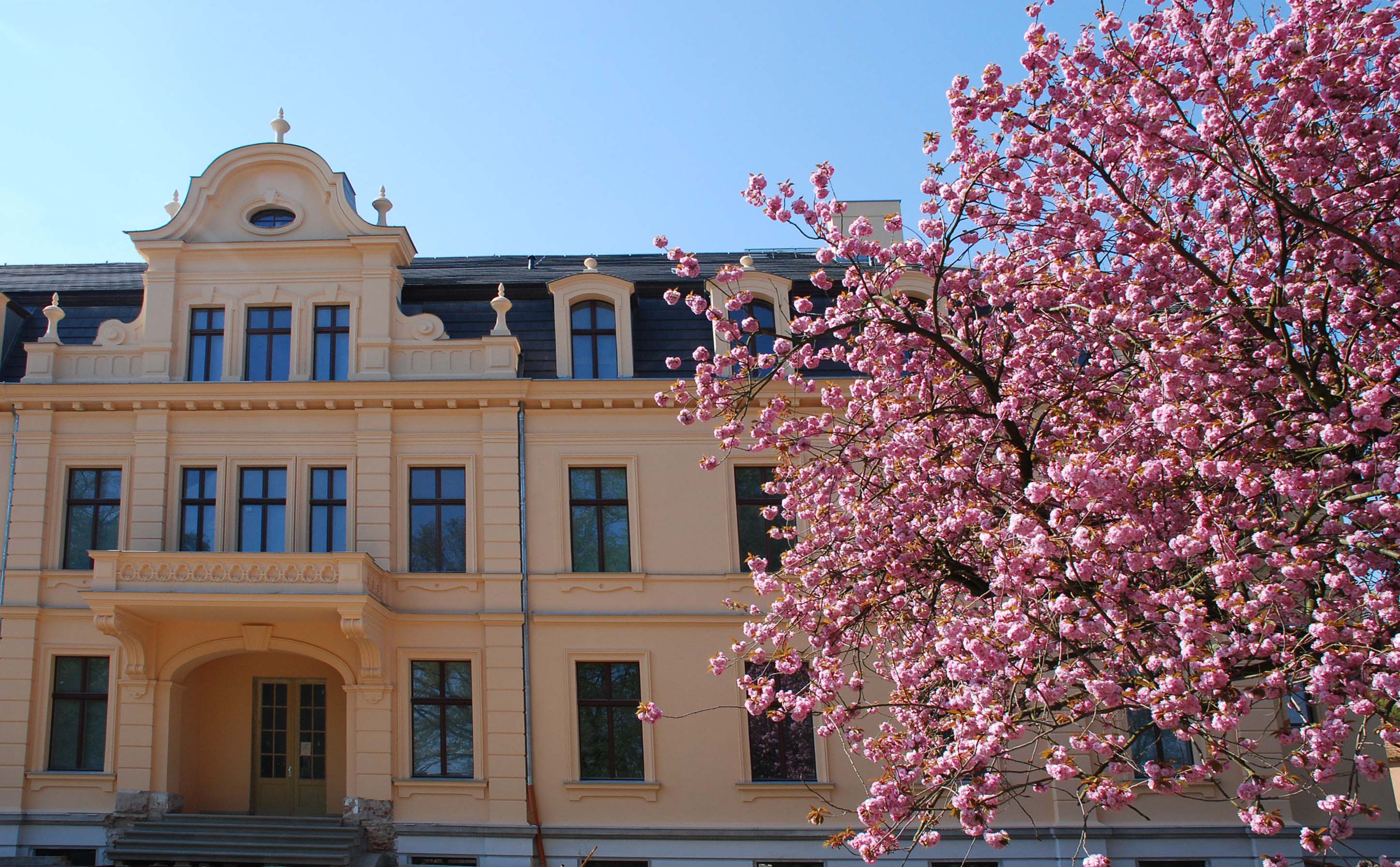 Ja-Wort im Havelland: Standesamt Nauen öffnet Terminkalender für 2026