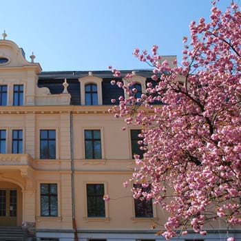 Ja-Wort im Havelland: Standesamt Nauen öffnet Terminkalender für 2026