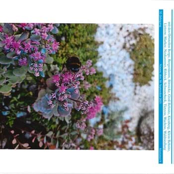 Das Amtsblatt für die Stadt Nauen, Nr. 9 ist am 30. September 2025 erschienen